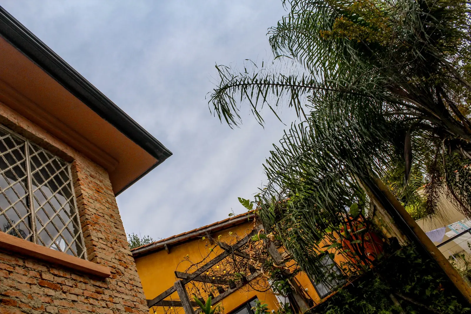 Arquitetura e natureza na Casa Terrária